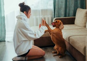 5 Standard Pet Care for New Pet Parent | Image From Pexel.