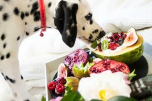 5 Foods That Could Be Hazardous to Your Dogs Health | Image From Pexel. 