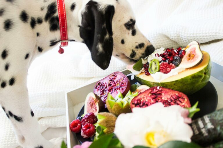 5 Foods That Could Be Hazardous to Your Dogs Health