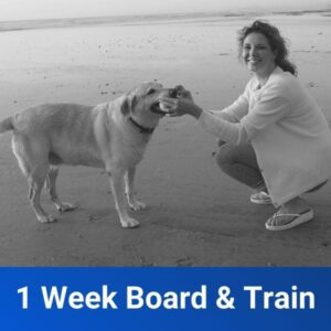1 Week Board and Train
