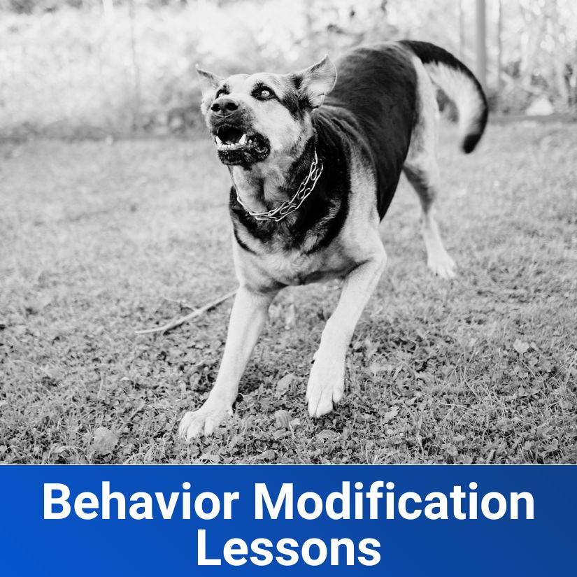 Behavior Modification Lessons