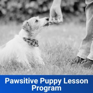 Pawsitive Puppy Lesson Program