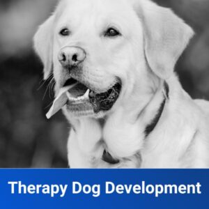 Therapy Dog Development